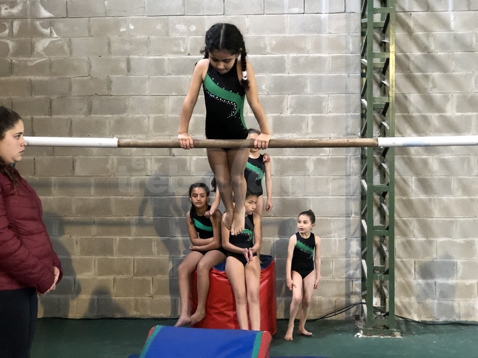 Comienzan Las Clases De Gimnasia Art Stica En El Expreso El Trebol